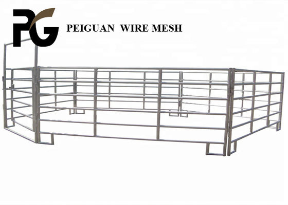 Tấm hàng rào kim loại 1,6x2,1m bền vững để chống ăn mòn cho vật nuôi