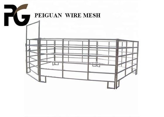 Hàng rào đường sắt gia súc mạ kẽm ống tròn Chiều cao 1,6m